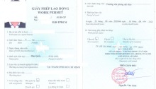 gia-han-work-permit-cho-nguoi-lao-dong-nuoc-ngoai